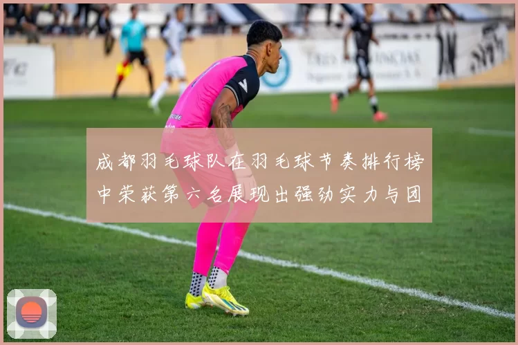 成都羽毛球队在羽毛球节奏排行榜中荣获第六名展现出强劲实力与团队风采