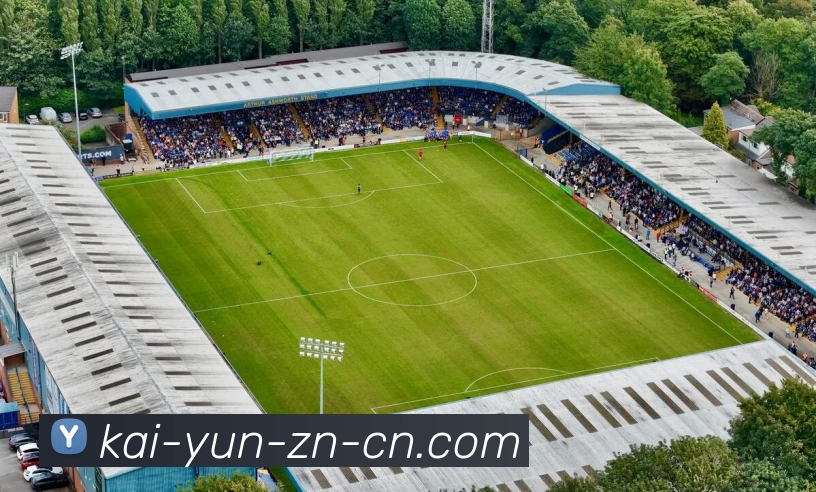 开云平台生态图